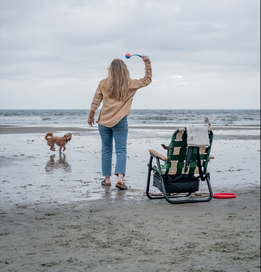 del mar dog beach