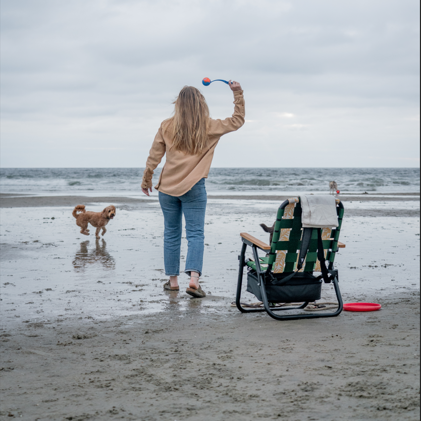 del mar dog beach